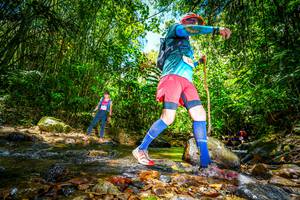 BIB: 
                            <button type="button" onclick="openModal(21771174)" class="btn btn-primary btn-sm float-right btn-popup" data-toggle="modal" data-target=".modal-high-quality">
                        <i class="fas fa-shopping-cart"></i> Add to Cart
                    </button>
                                            <button type="button" onclick="isThisMe(21771174, true)" class="btn btn-success btn-sm float-right btn-popup btn-isme hidden" data-toggle="tooltip" data-placement="bottom" title="นี่คือรูปของคุณใช่ไหม คลิกที่นี่เพื่อเอาเข้าอัลบั้ม">
                        <i class="fas fa-plus"></i> Add to album
                    </button>
                    <button type="button" onclick="isThisMe(21771174, false)" class="btn btn-warning btn-sm float-right btn-popup btn-isnotme hidden">
                        <i class="fas fa-ban"></i> Remove from album
                    </button>